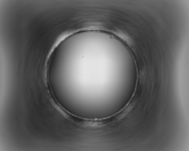 X0000085021374200703121533