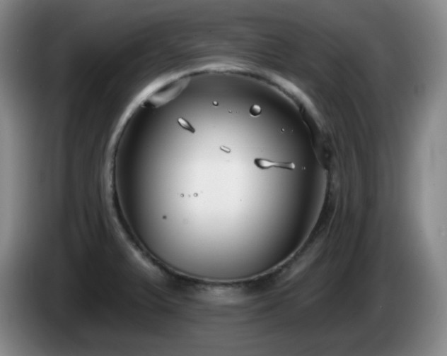 X0000085021375200703121533