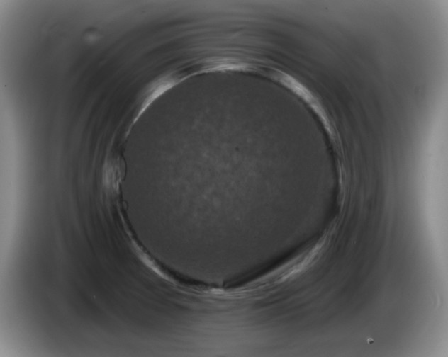 X0000085021377200703121533
