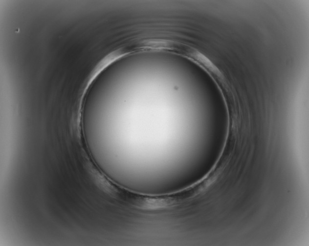 X0000085021378200703121533