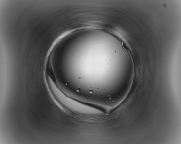 X0000085021379200703121533
