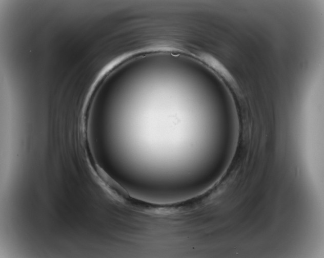 X0000085021380200703121533