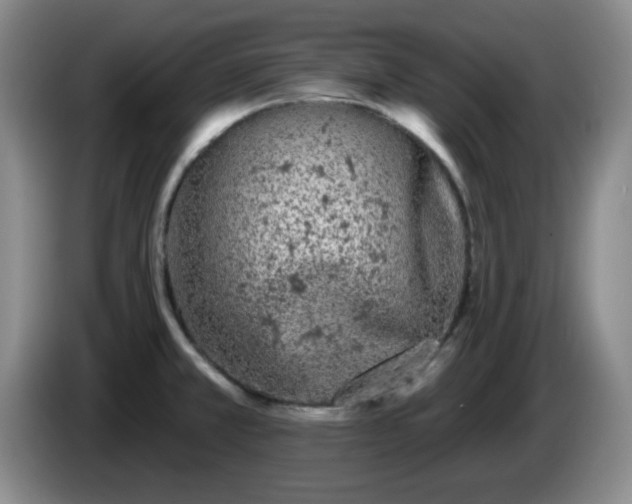 X0000085021381200703121533