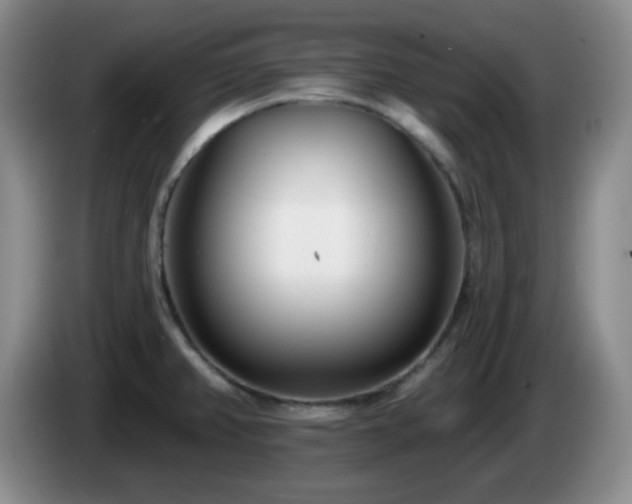 X0000085021382200703121533