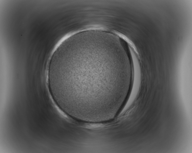 X0000085021383200703121533