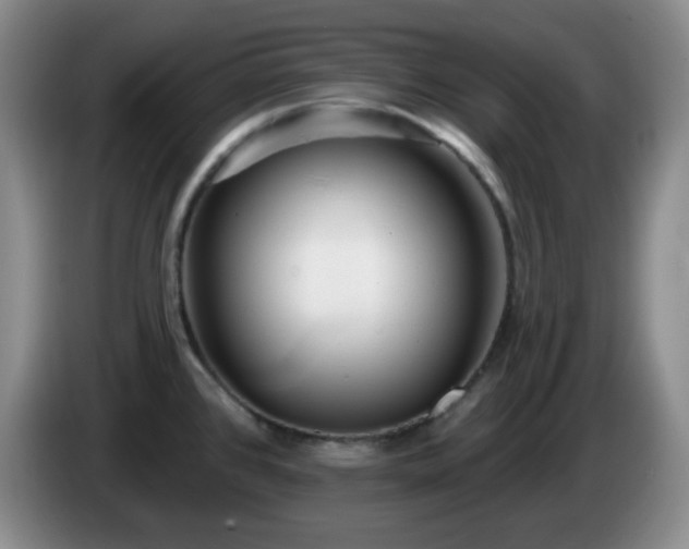 X0000085021384200703121533