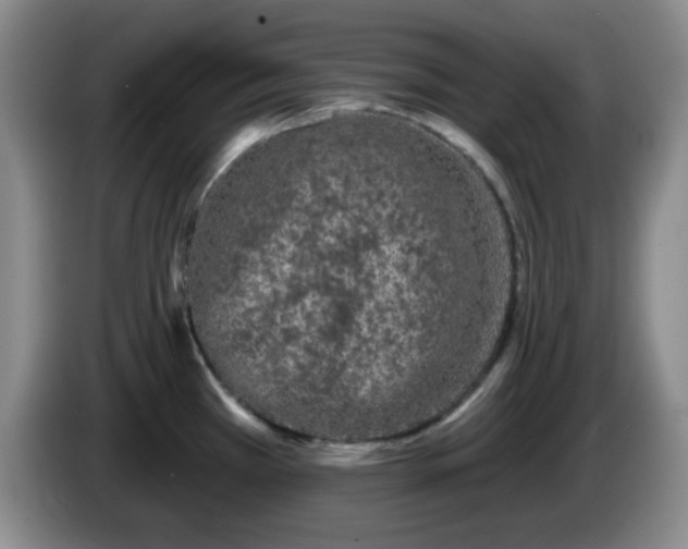 X0000085021385200703121533