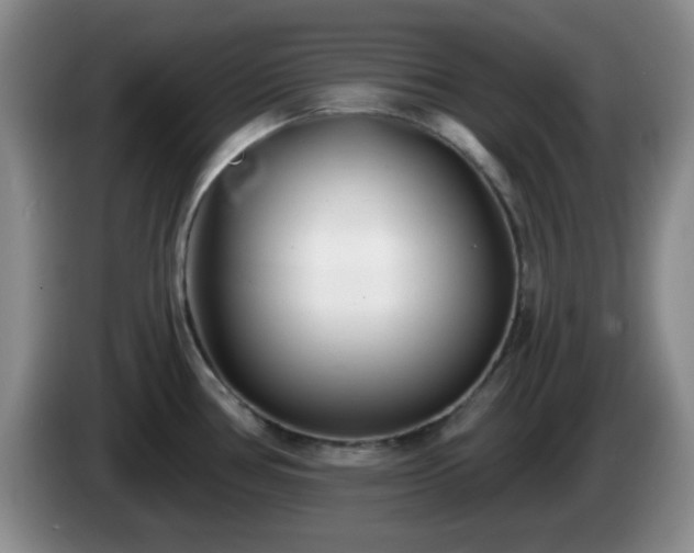 X0000085021386200703121533