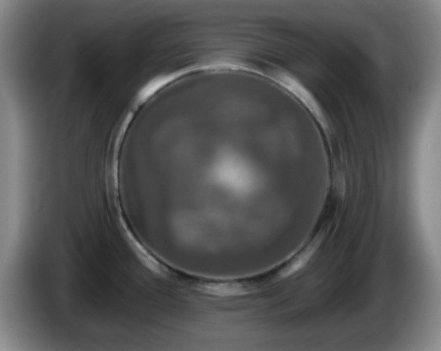 X0000085021388200703121533