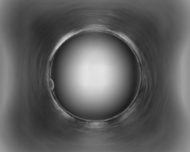 X0000085021390200703121533