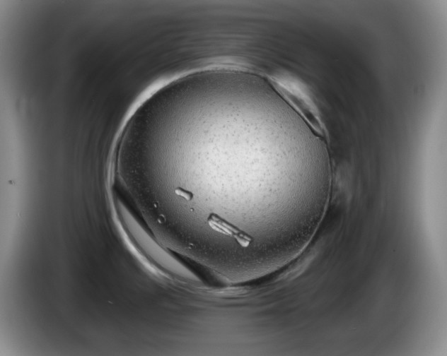 X0000085021391200703121533