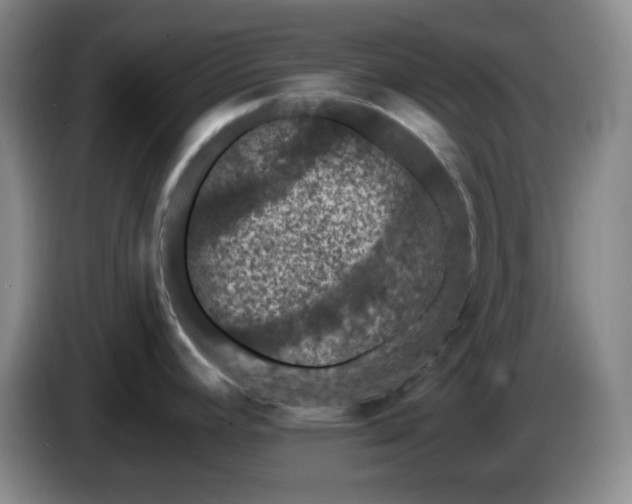 X0000085021392200703121533