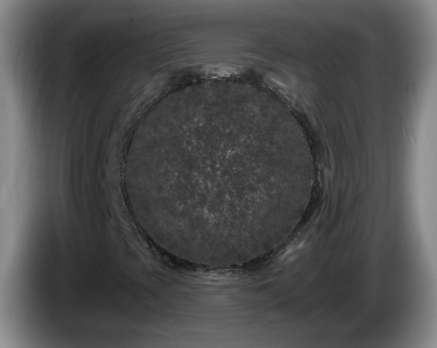 X0000085021393200703121533