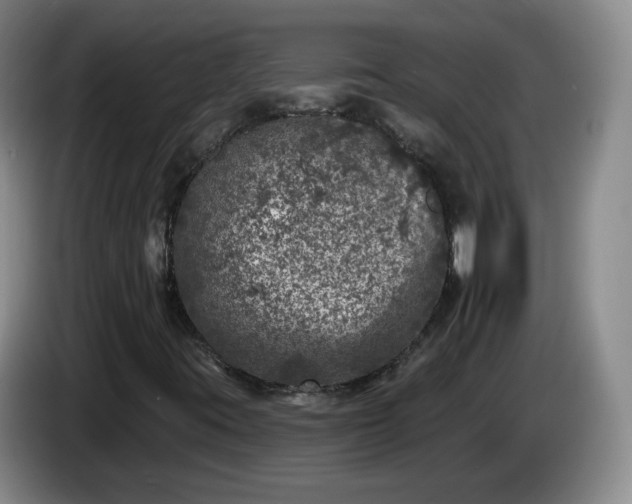 X0000085021395200703121533