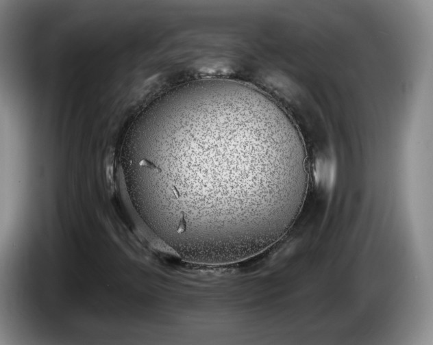 X0000085021396200703121533