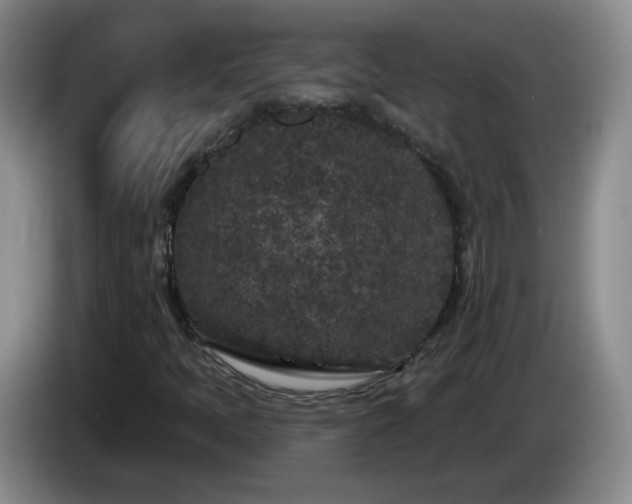 X0000085021397200703121533