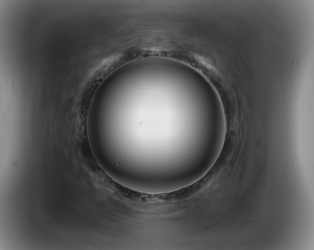 X0000085021398200703121533