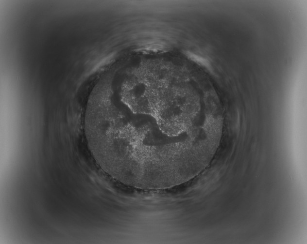 X0000085021399200703121533