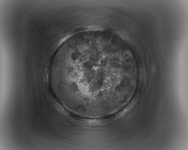 X0000085021401200703121533