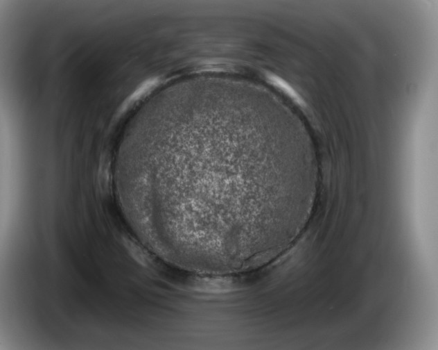X0000085021403200703121533