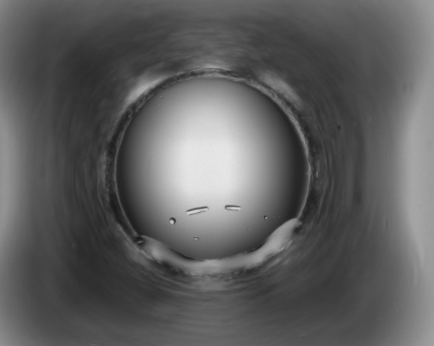 X0000085021404200703121533