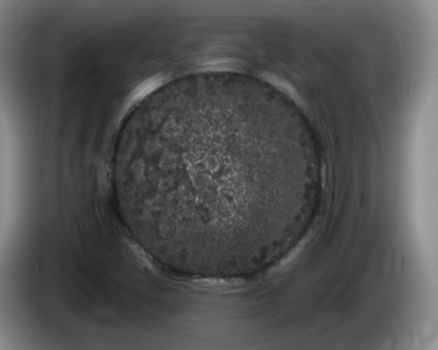 X0000085021405200703121533