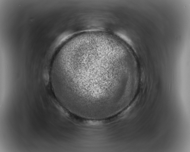X0000085021407200703121533