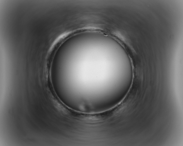 X0000085021408200703121533