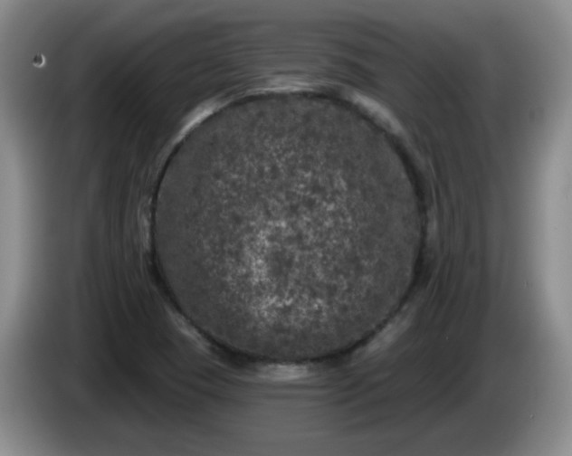 X0000085021409200703121533