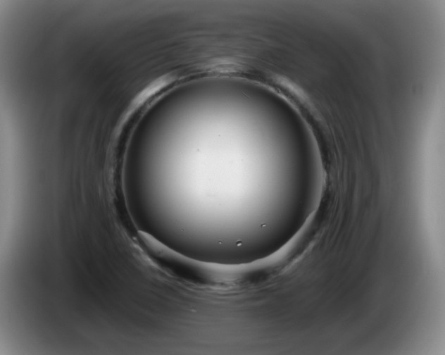 X0000085021410200703121533