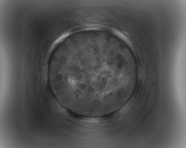 X0000085021411200703121533
