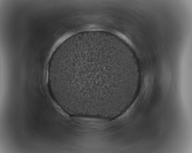 X0000085021413200703121533