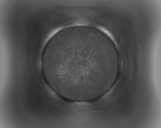 X0000085021415200703121533