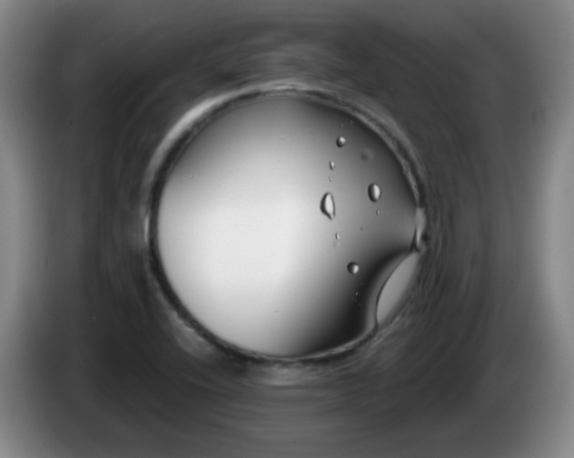 X0000085021416200703121533
