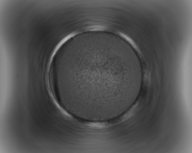 X0000085021418200703121533