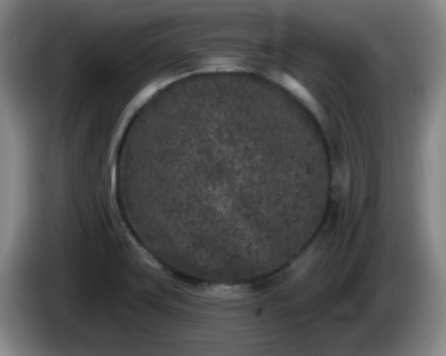 X0000085021419200703121533