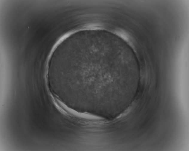 X0000085021421200703121533
