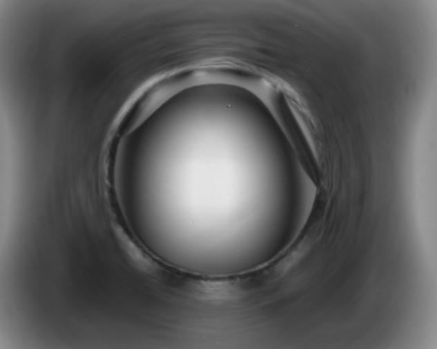 X0000085021422200703121533