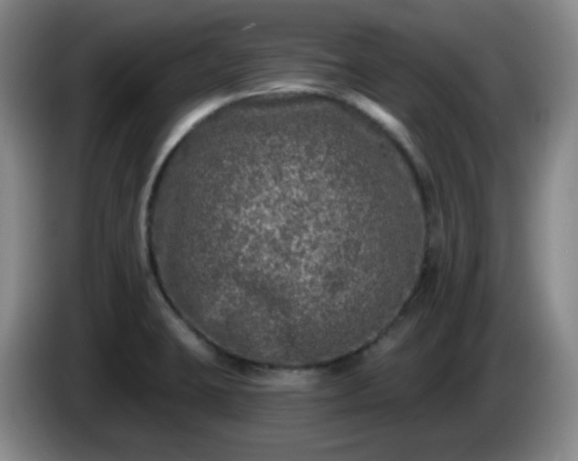 X0000085021423200703121533