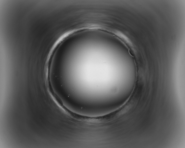 X0000085021424200703121533
