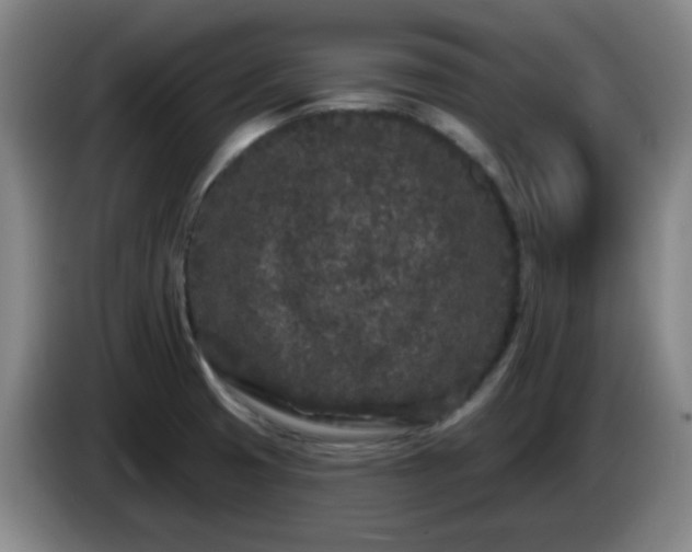 X0000085021425200703121533
