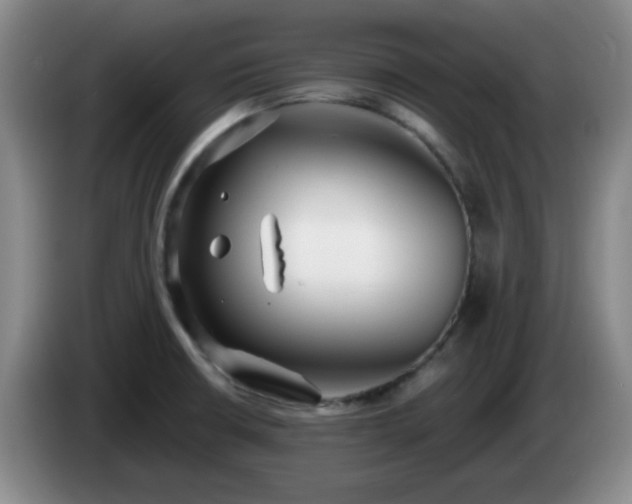 X0000085021426200703121533