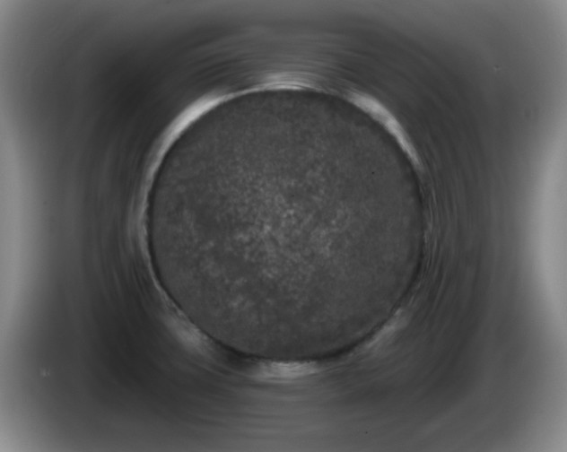 X0000085021427200703121533