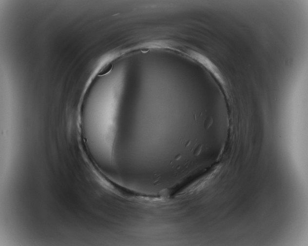 X0000085021428200703121533