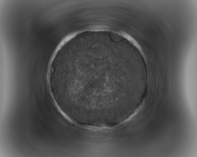 X0000085021429200703121533