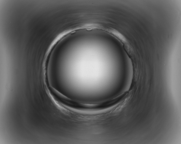 X0000085021430200703121533