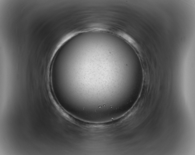 X0000085021431200703121533