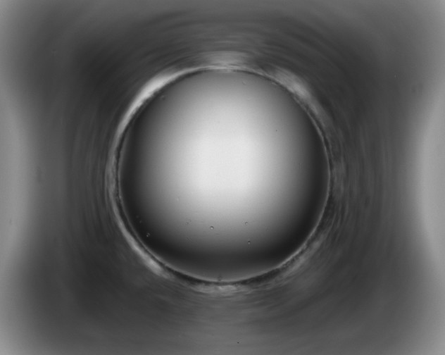 X0000085021432200703121533
