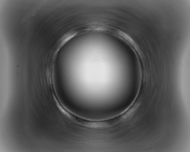 X0000085021433200703121533