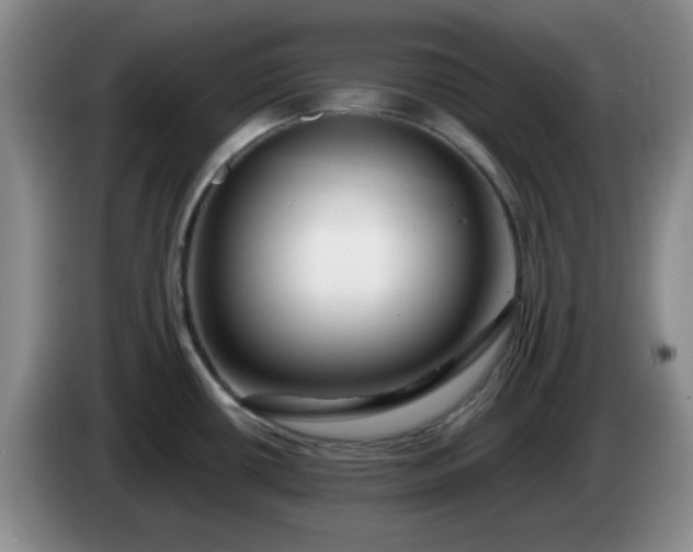 X0000085021434200703121533